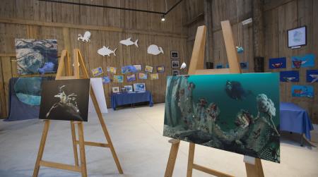 Modre šole za Morsko oazo Piran-Zavod YouSea-autor Jaka Jeraša (12)